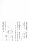 A-level AS Biology Chapter 6 Nucleic acid and protein synthesis summary