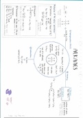 A-level AS Chemistry Organic Chemistry Summary/Mind maps