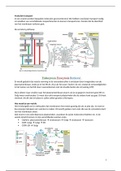 TT2 Vesiculair transport