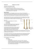 Fysiotherapie leerjaar 1 LWP 3 anatomie onderarm en hand