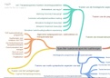 Mindmap specifiek taaldomeingerichte taaltherapie door mnr. Hoste