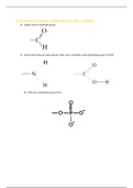 Functional Groups