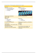 Comparison of eukaryotic cells and prokaryotic cells