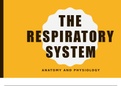 Unit 1- Principles of Anatomy and Physiology in Sport -  Breaking down Respiratory system 