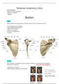 Samenvatting Anatomie in Vivo blok 1&2