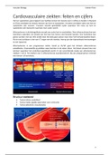 Cardiovasculaire ziekten fieten en cijfers
