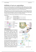 miRNAs in hart en vaatziekten