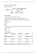 Multistore model of memory revision notes