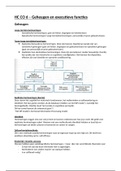 HC CO 6 - geheugen en executieve functies