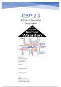 Uitwerking van alle CBP's van PLP 2. CBP 2.1 2.2 en 2.3