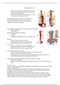 Oesophagus (algemene chirurgie)