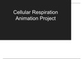 Cellular Respiration Overview/Animation