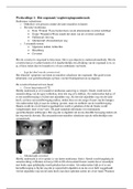 orthoptisch onderzoek 2