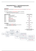 Samenvatting Burgerlijk Recht 1 - Verbintenissenrecht (Jaar 1 - Blok 2)