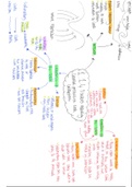 WJEC A level Geography Factors Affecting Coastal Processes and Landforms