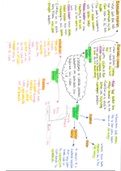 WJEC A level Geography Variations in Coastal Processes, Landforms and Landscaspes Over Different Time Scales