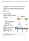 Microbial Physiology Lecture Summary