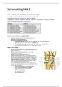 Samenvatting blok 6 jaar 2 Fysiotherapie Zuyd Hogeschool