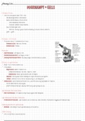 Microbiology Chapter 3 Notes: Microscopy and The Cell