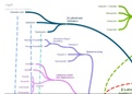 Pharmacology - Antibiotics: Attack on cell wall mind map - OVERVIEW of all DRUGNAMES