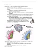 Fysiologie HOK thema 6