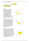 Lord of the Flies - Character Summaries