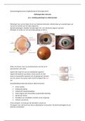 Samenvatting Oogheelkunde en Pathologie