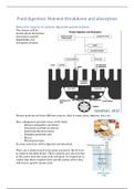 Nutrient breakdown & absorption