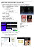 Blok 3: SZM – cyclus 3.13: college uitgangspunten indirecte res