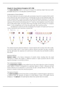 Sensation and Perception - Summary CH8, 9, 10, 12, 13, 14 & 15.