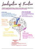 AQA A-Level Psychology Biopsychology - Localisation of Function