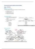 Summary Perception, Attention, and Decision-making