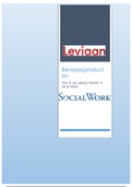 Beroepsproducten 2 stage/praktijkleren social work jaar 4 (7,6)