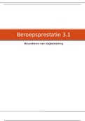 Beroepsprestatie 3.1