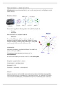 Samenvatting H1 Chemie van het leven