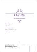 P3-K1-W1 Stelt het ondersteuningsplan op