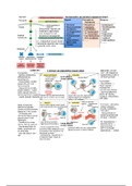 Samenvatting Cell signaling pathways