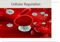 NR 324 MODULE 6 CELLULAR REGULATION PRESENTATION EXAM 2: Chamberlain