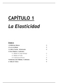 Elasticidad