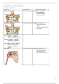 Samenvatting: BOKS Anatomie Werk, Sport en Hobby (Blok B) Hogeschool Utrecht fysiotherapie jaar 1