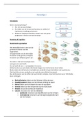 Blok 3.6: Neuropsychology - Hoorcollege 1 (Neuropsychologie - schooljaar 2019/2020)