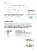 College 1 - blok 3.6 (neuropsychology)