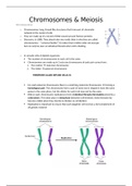 Biology IEB: Meiosis