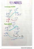 Exponential and Power Functions 