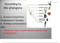 BIO 1414 - First Exam, Complete solutions, all answers correct; University of Texas, San Antonio.