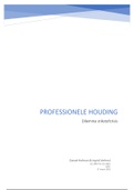 Verslag professionele houding M6