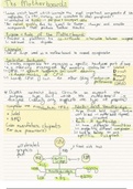 Term 1 IT summaries Grade 11