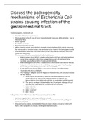 Discuss the pathogenicity mechanisms of Escherichia Coli strains causing infection of the gastrointestinal tract