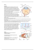 Blok 2.5 Casus 1 t/m 11 2018-2019