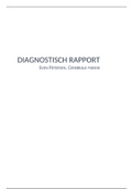 Diagnostisch rapport Sven Petersen